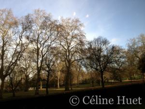 Hyde Park Londres