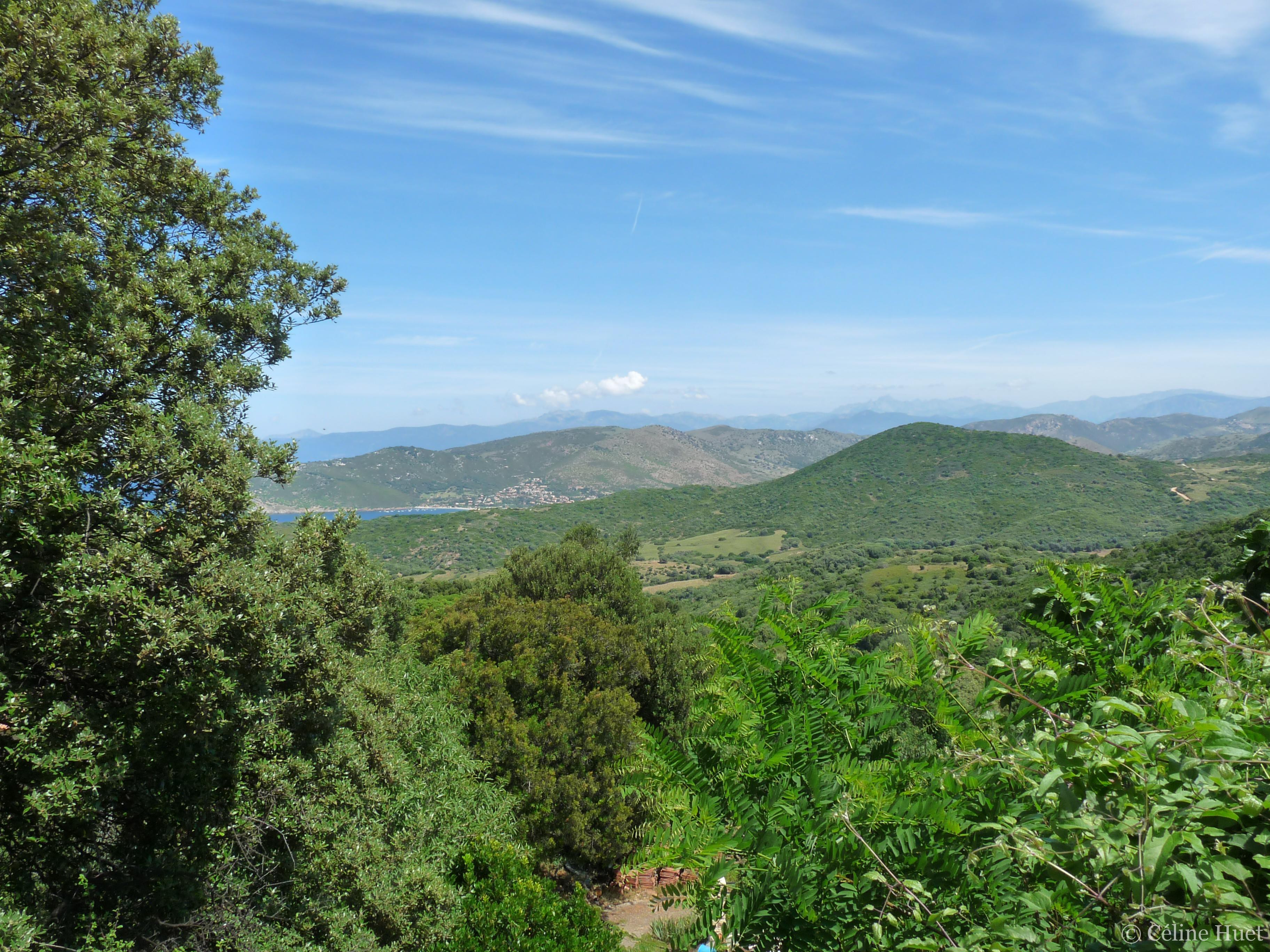 Vue de Villanova Corse du Sud France