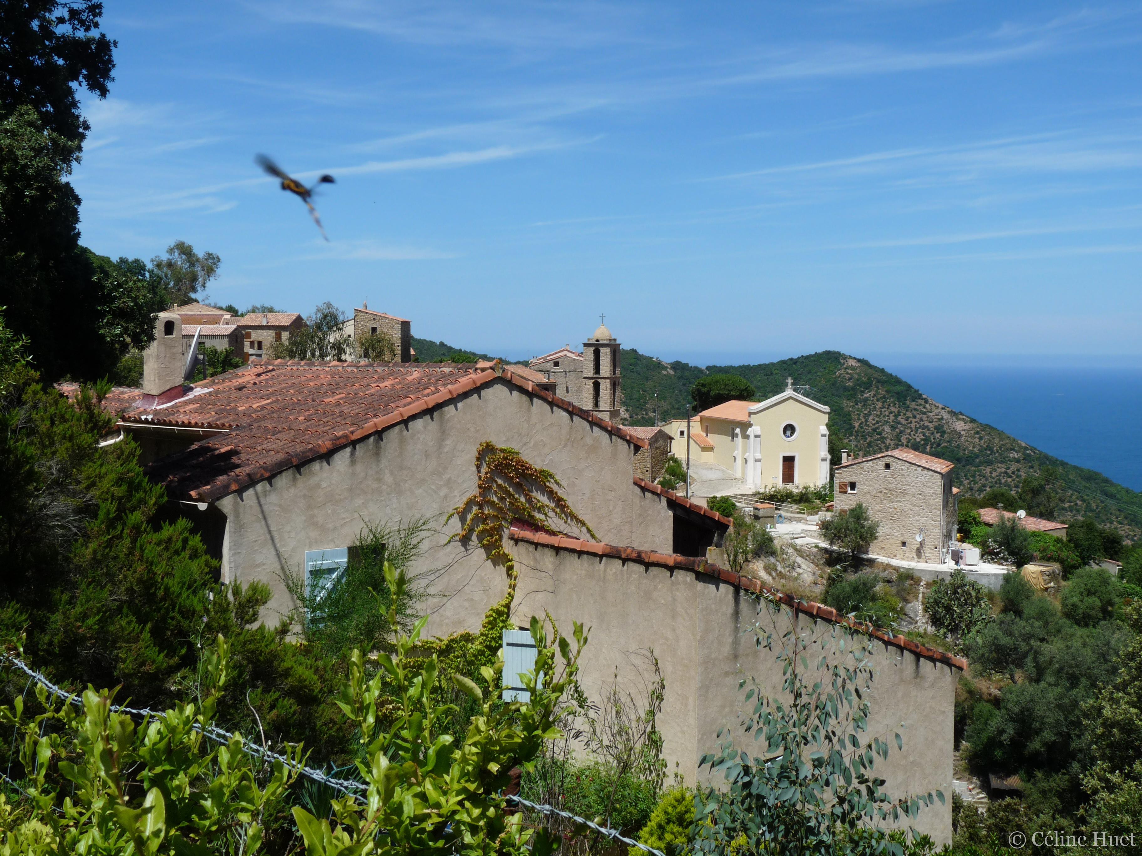Villanova Corse du Sud France