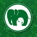 Elephant Nature Foundation