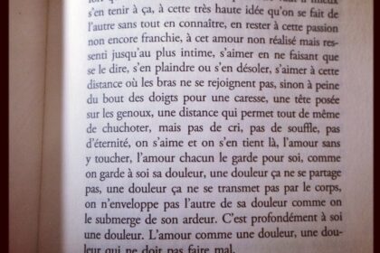 L'amour sans le faire Serge Joncour