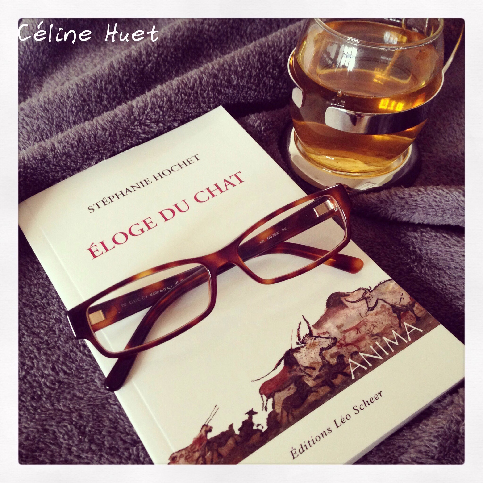 « Eloge du chat » de Stéphanie Hochet…