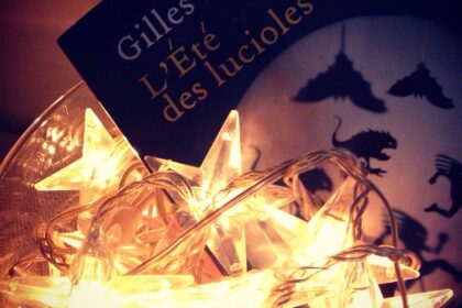 L'Eté des lucioles Gilles Paris