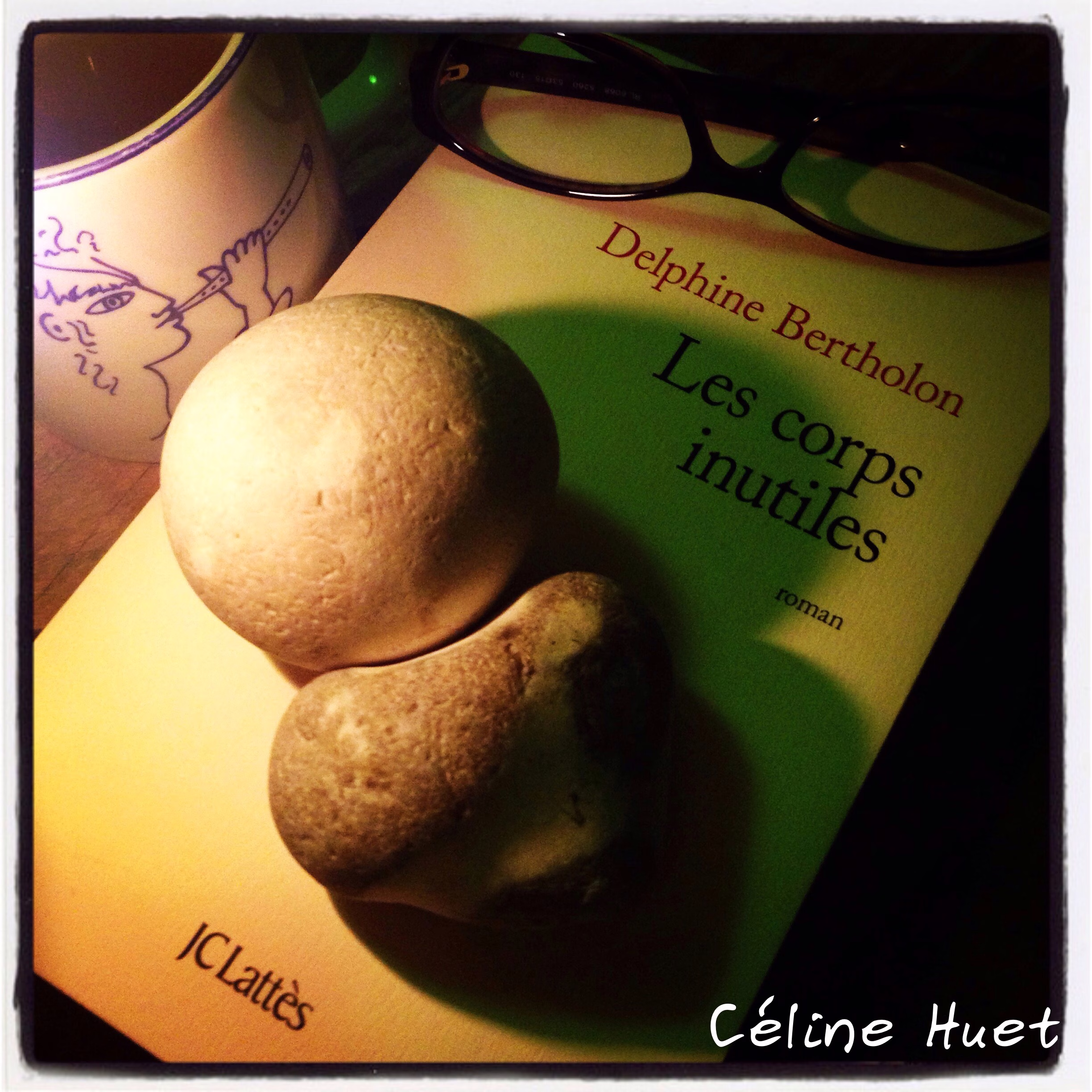 « Les corps inutiles » de Delphine Bertholon…