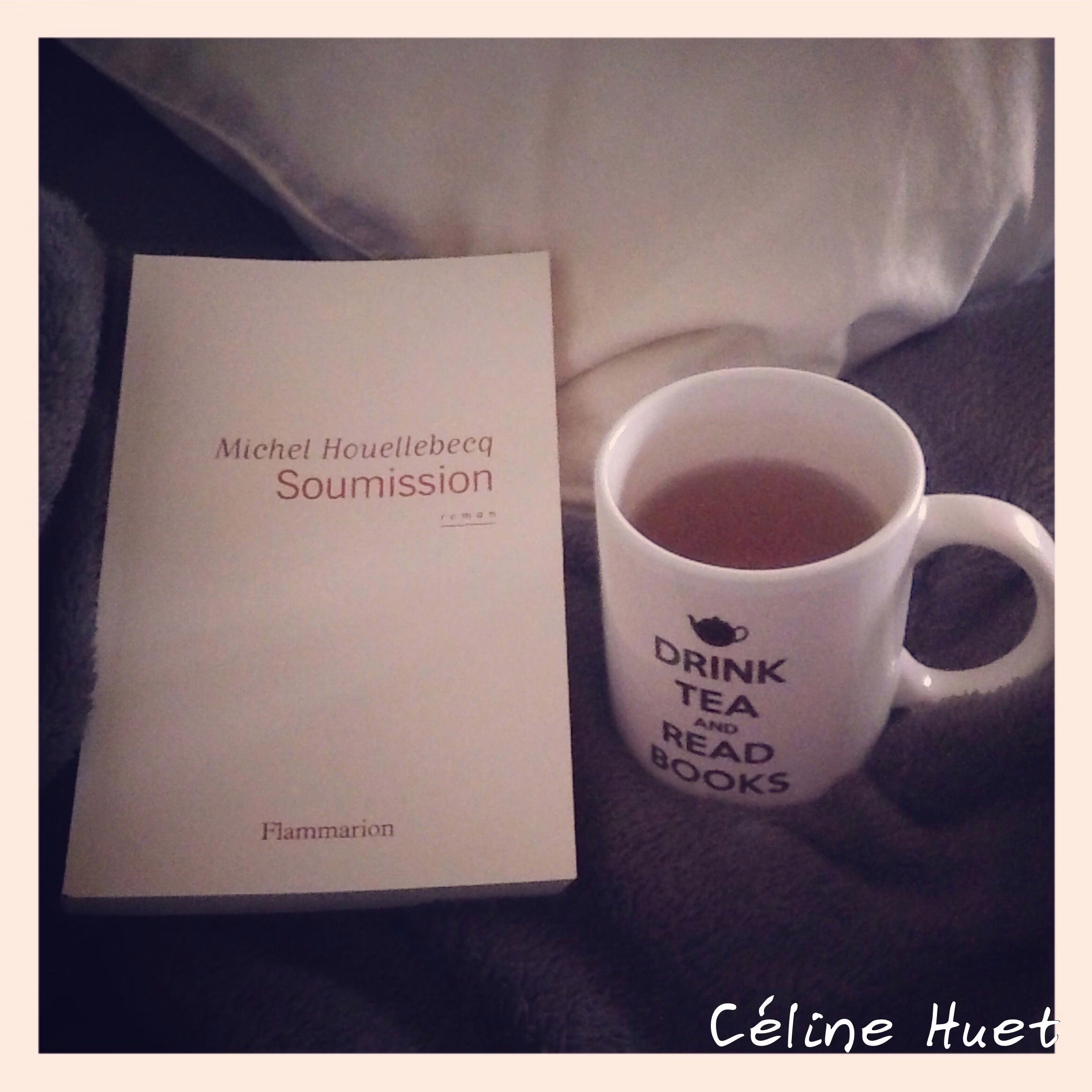 « Soumission » de Michel Houellebecq…