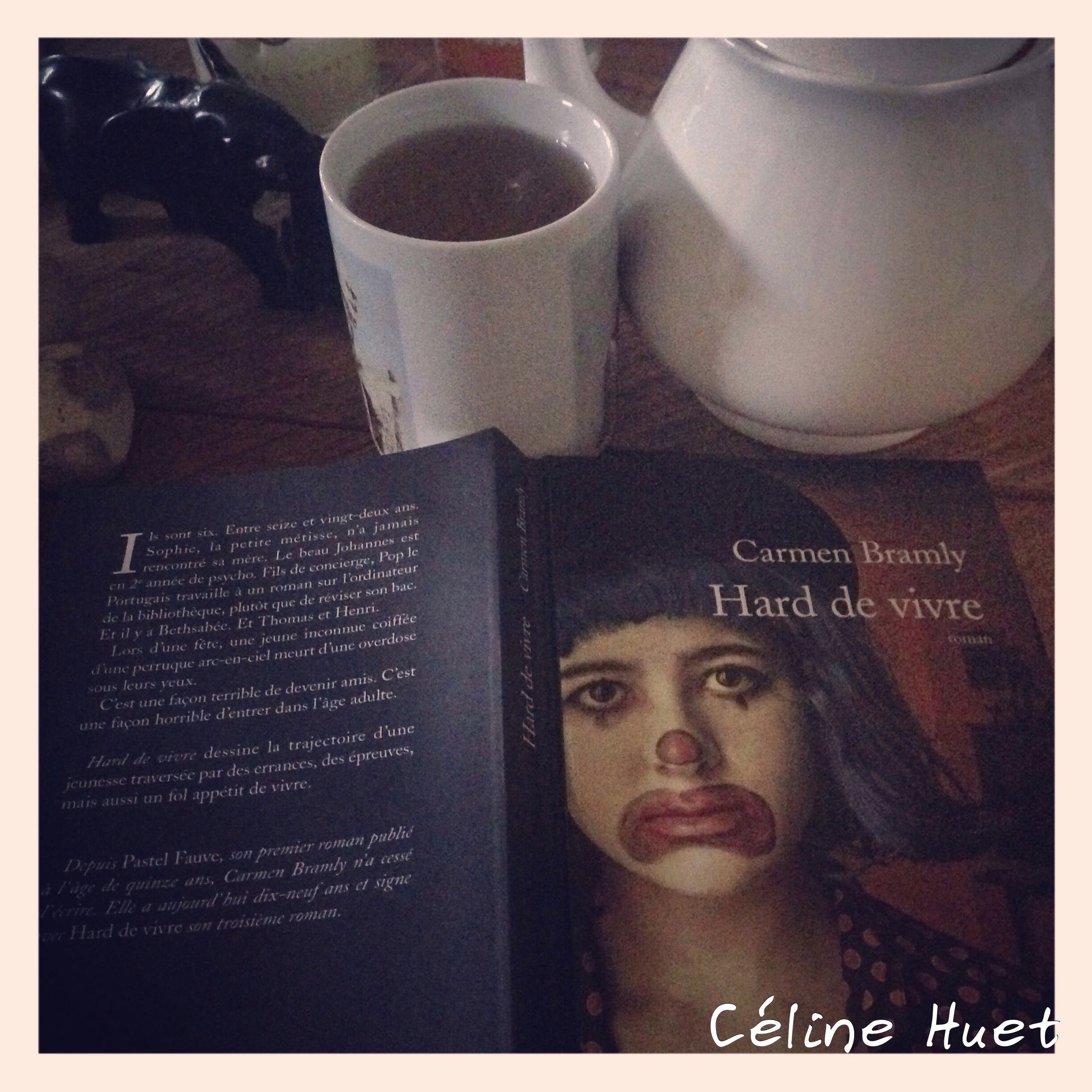 « Hard de vivre » de Carmen Bramly…