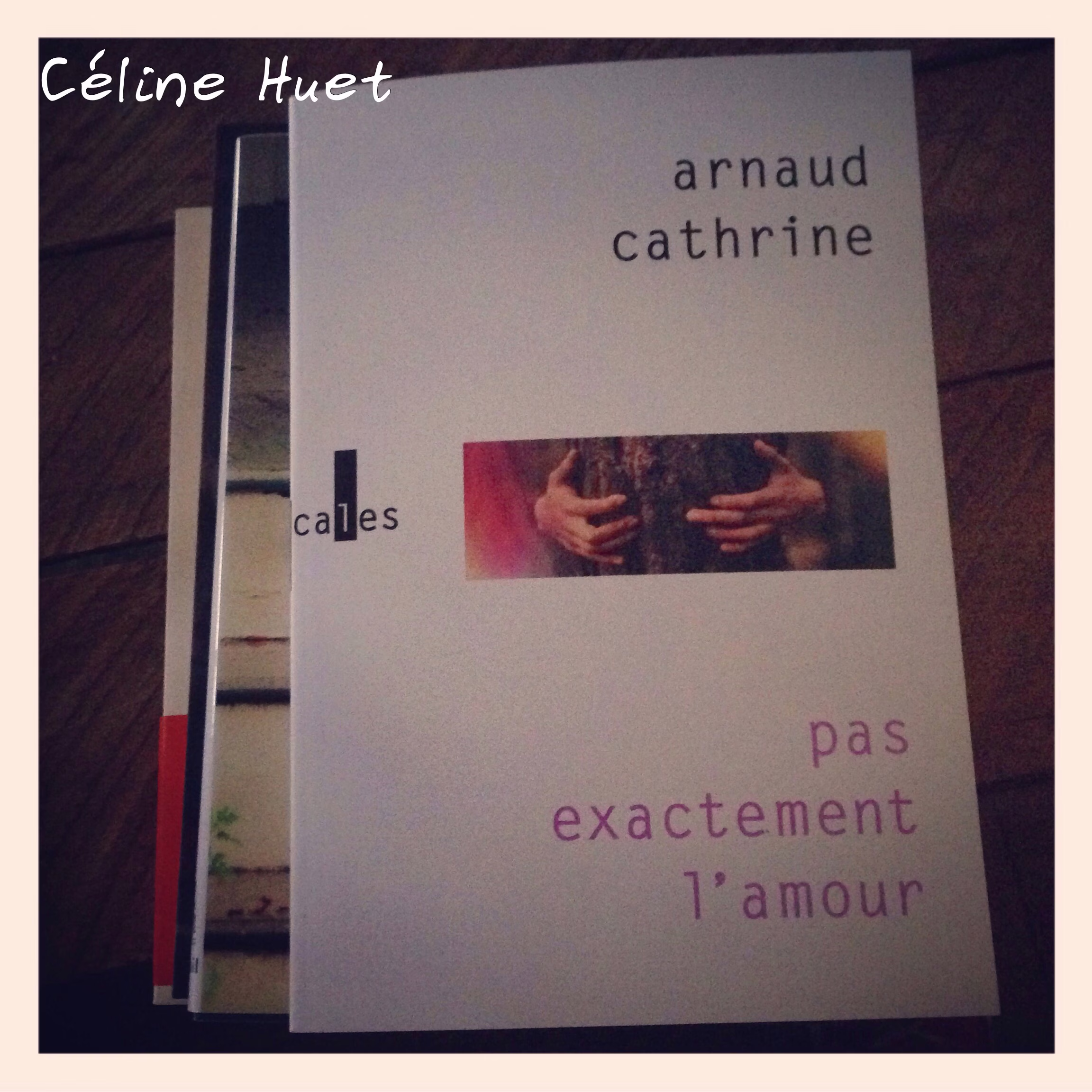 « Pas exactement l’amour » d’Arnaud Cathrine…