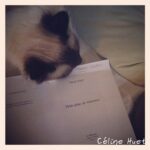 Petits plats de résistance Pascal Pujol Le Dilettante