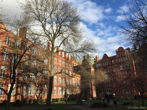 Sackville Gardens Manchester Royaume Uni