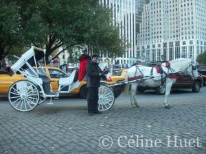 Central Park New York