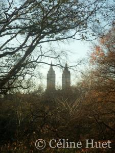 Central Park New York