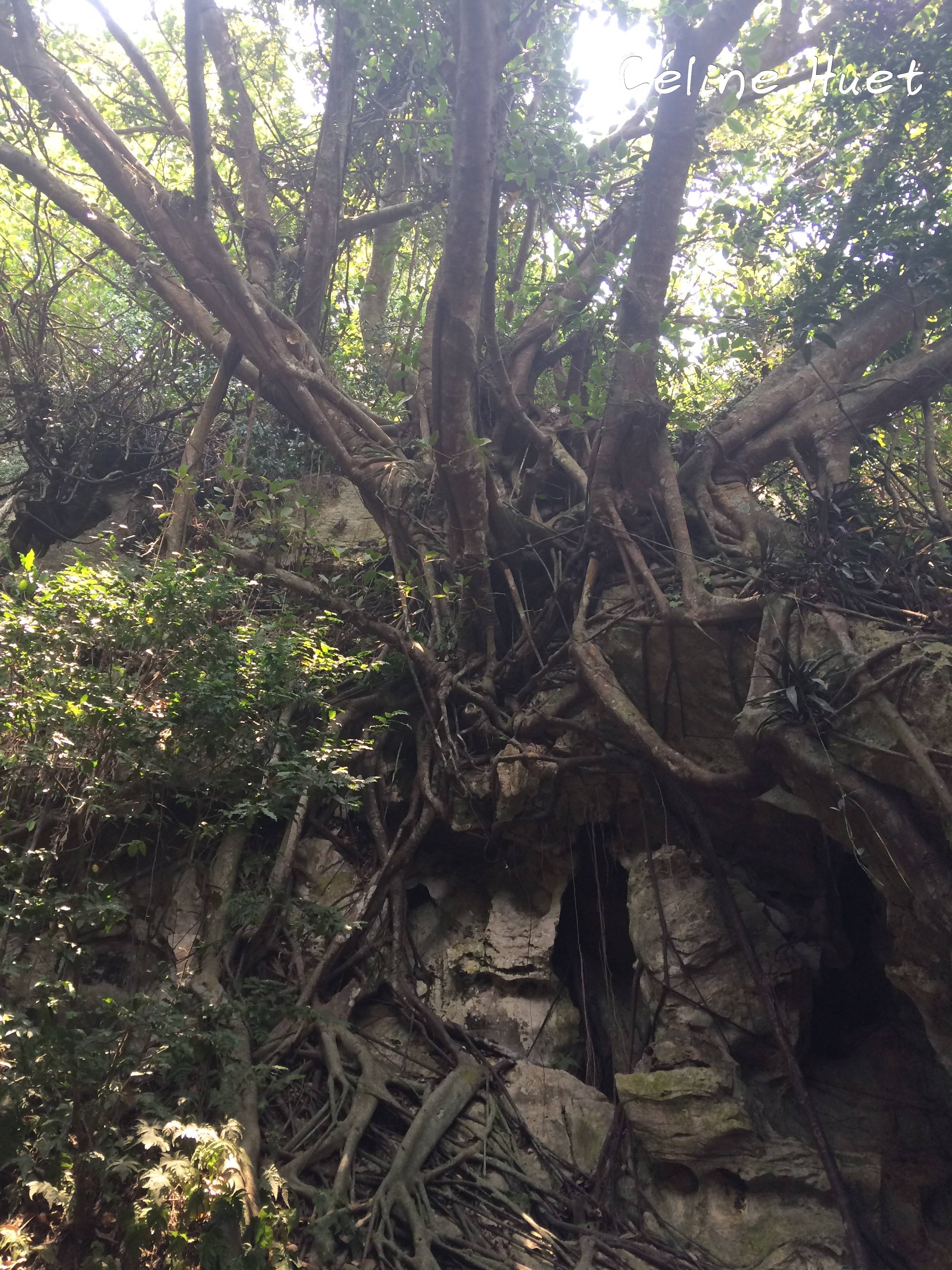 Huyen Khong Cave Montagnes de marbre Da Nang Vietnam Asie