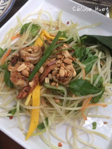 Papaya Salad La Tourelle Hoi An Vietnam Asie
