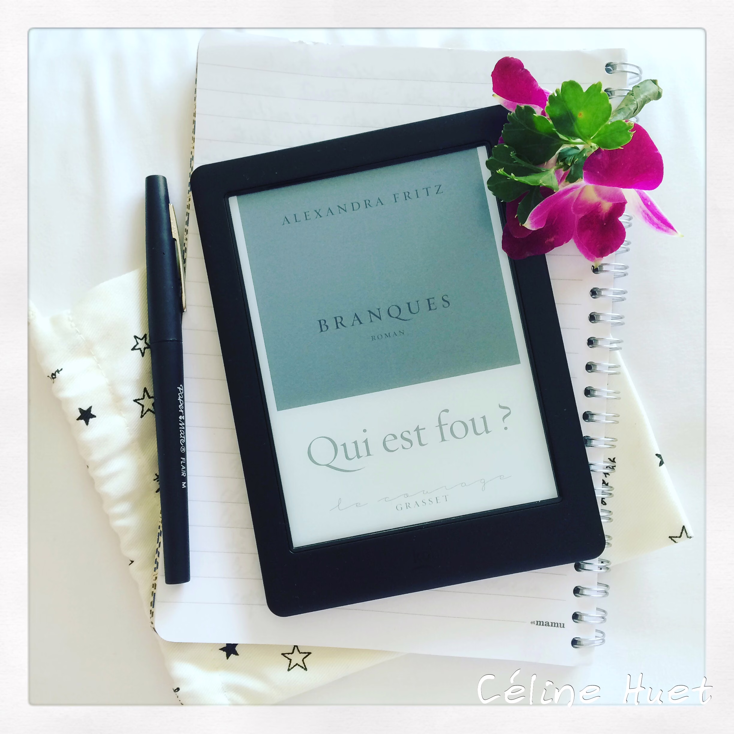 « Branques » d’Alexandra Fritz…
