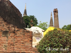 Wat Yai Chaya Mongkol Ayutthaya Thaïlande Asie