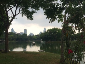 Lumpini Park Bangkok Thaïlande Asie