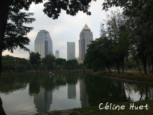 Lumpini Park Bangkok Thaïlande Asie