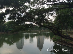 Lumpini Park Bangkok Thaïlande Asie