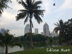 Lumpini Park Bangkok Thaïlande Asie