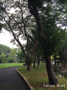 Lumpini Park Bangkok Thaïlande Asie