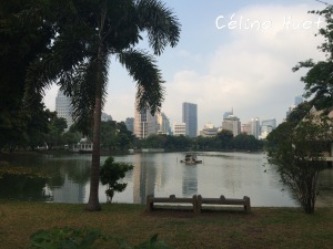 Lumpini Park Bangkok Thaïlande Asie