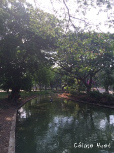 Lumpini Park Bangkok Thaïlande Asie