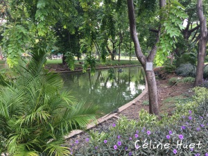 Lumpini Park Bangkok Thaïlande Asie