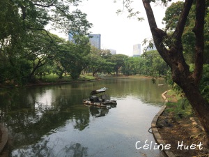 Lumpini Park Bangkok Thaïlande Asie