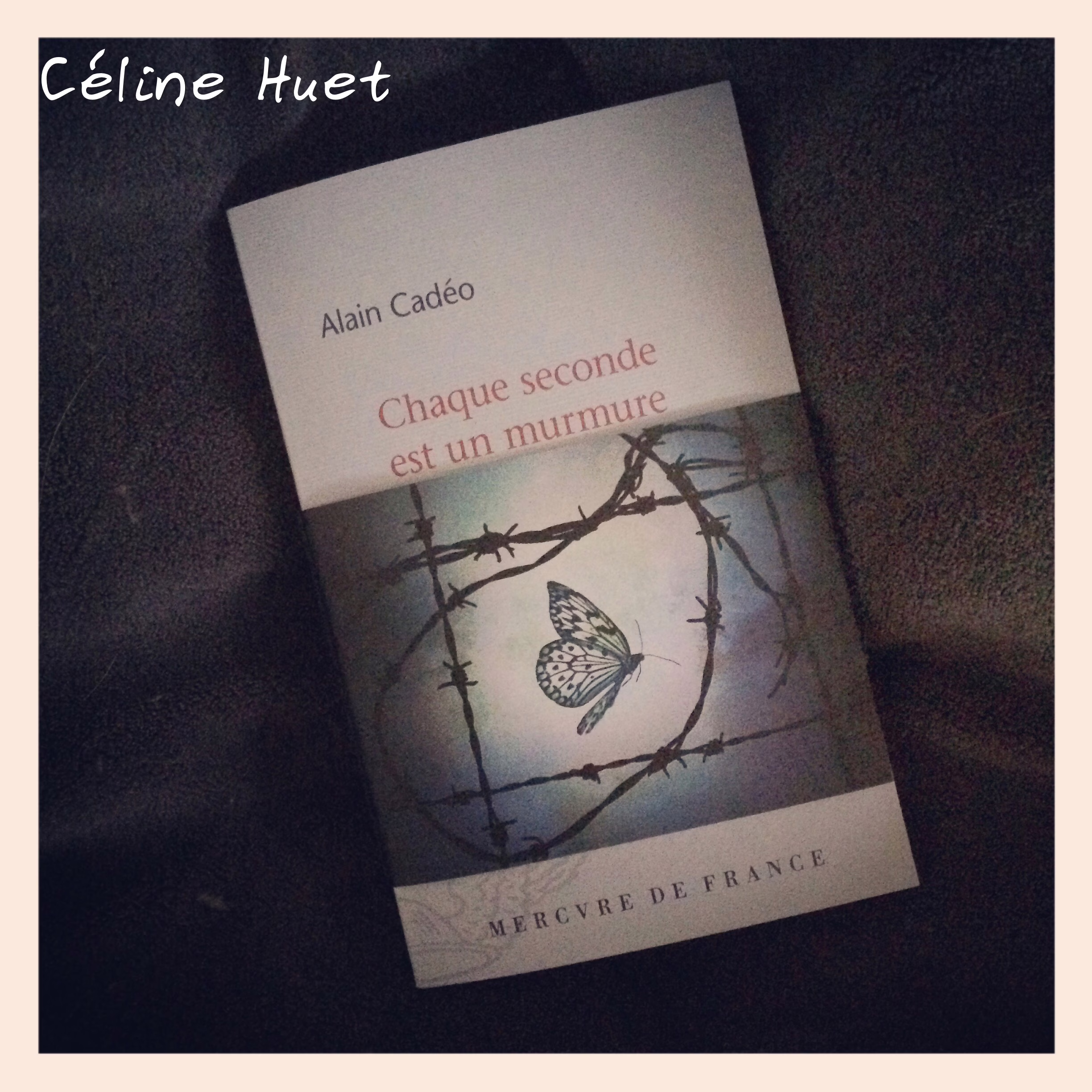 « Chaque seconde est un murmure » d’Alain Cadéo…