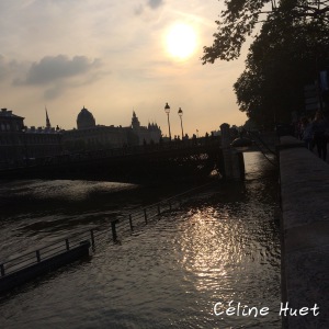 Crue de la Seine Paris 2016