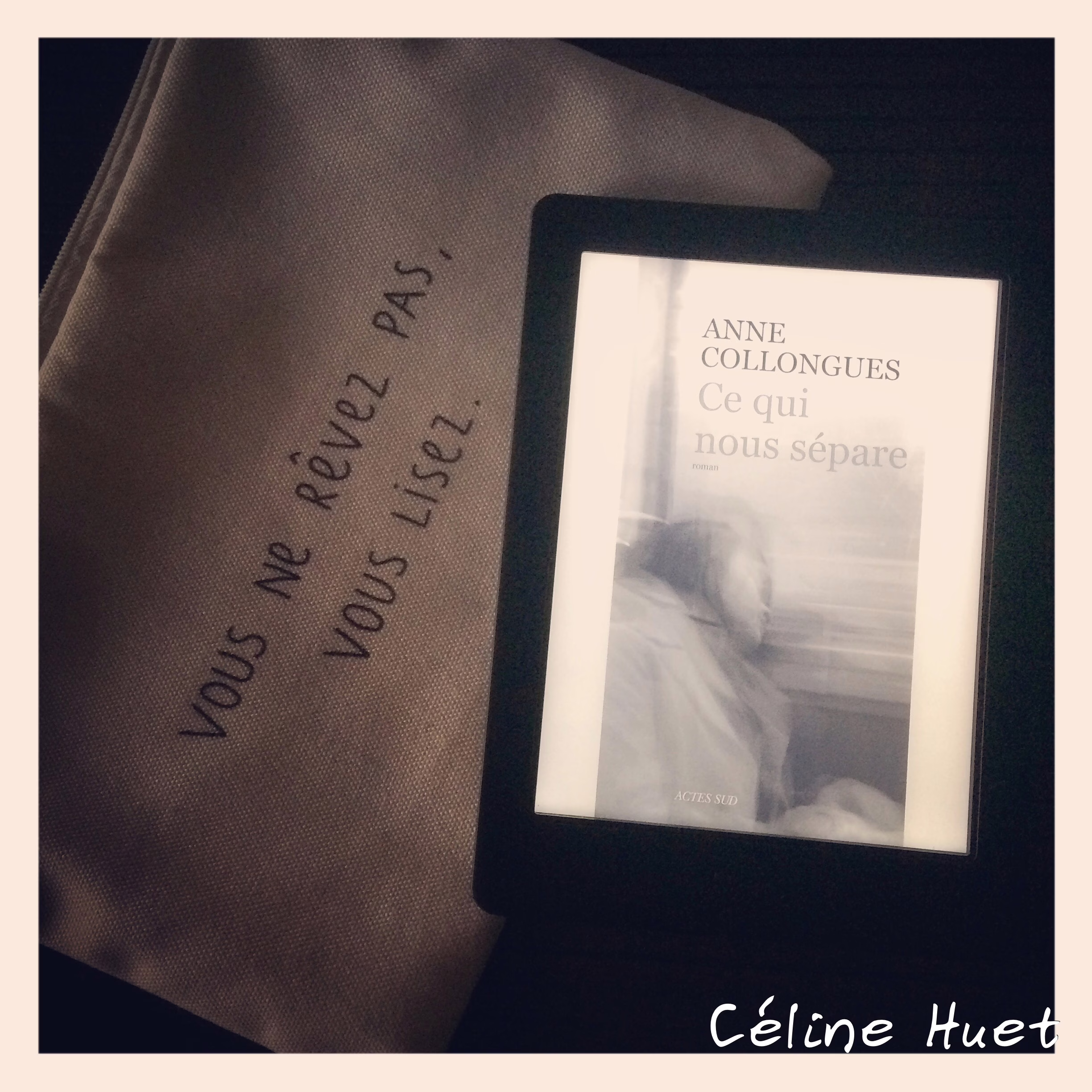 « Ce qui nous sépare » d’Anne Collongues…