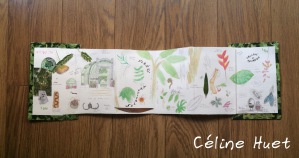 Carnet de voyage botanique et tropical à Paris Céline Huet