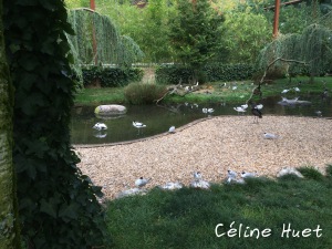 Parc animalier Argelès-Gazost Pyrénées France