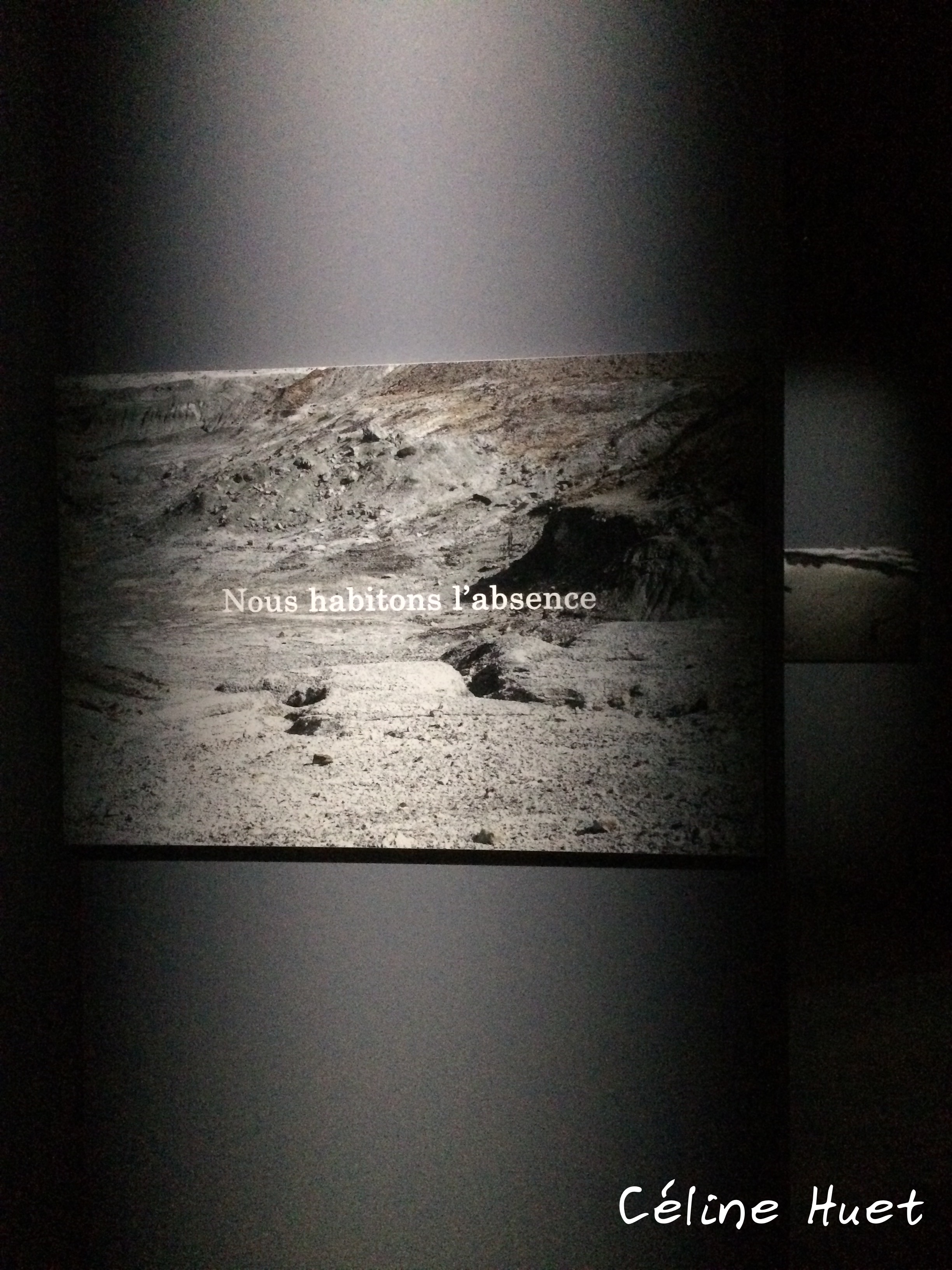Exposition Rester vivant Michel Houellebecq Palais de Tokyo Paris