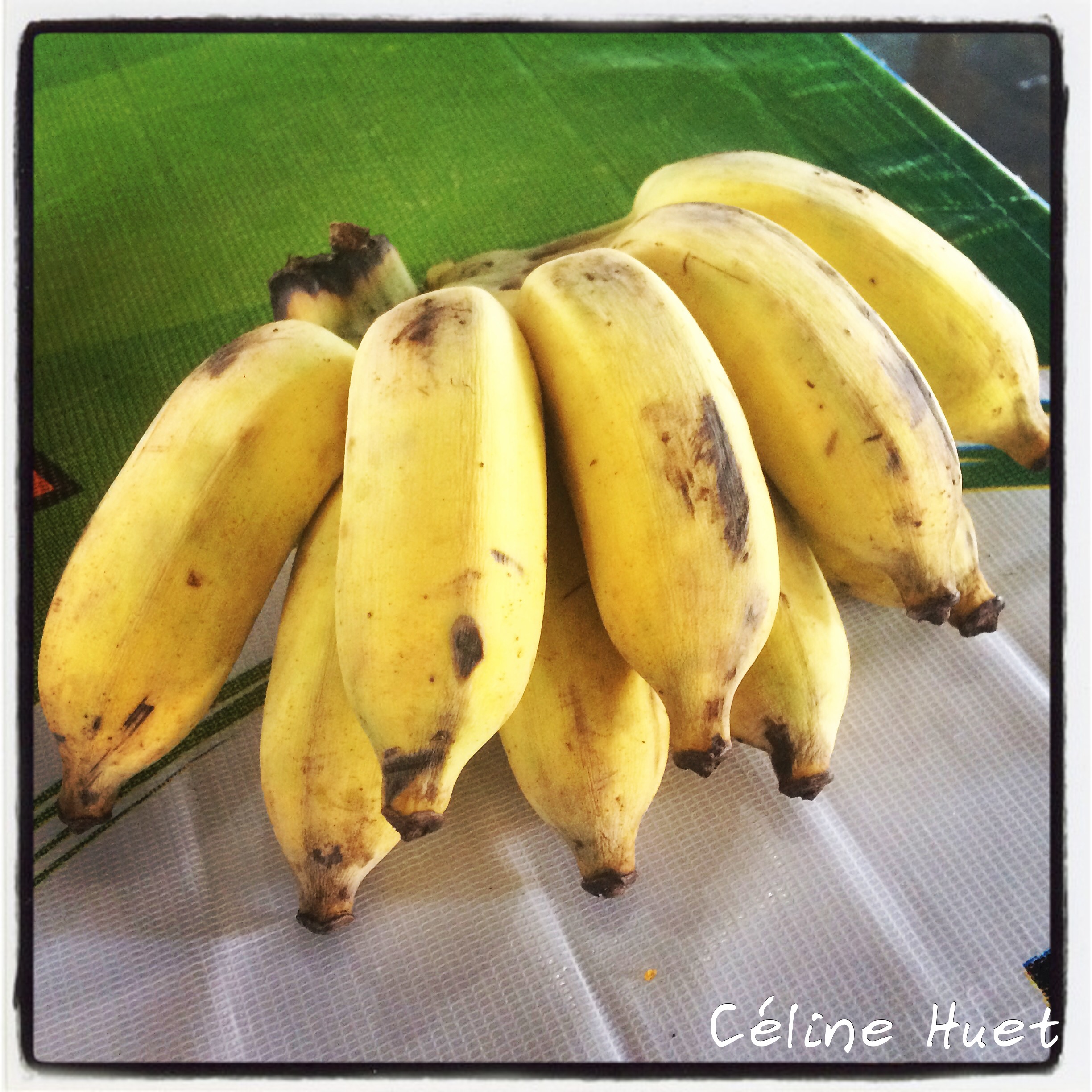Bananes marché Petchaburi Thaïlande Asie