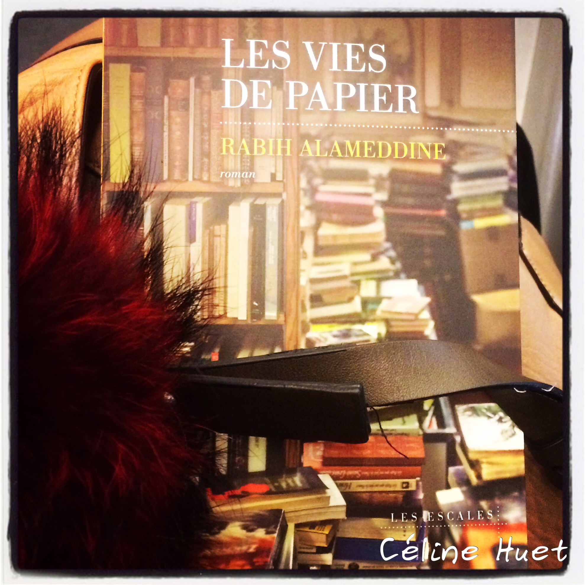 « Les vies de papier » de Rabih Alameddine…