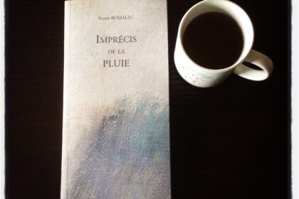 Imprécis de la pluie Yvette Rodalec Editions Dialogues