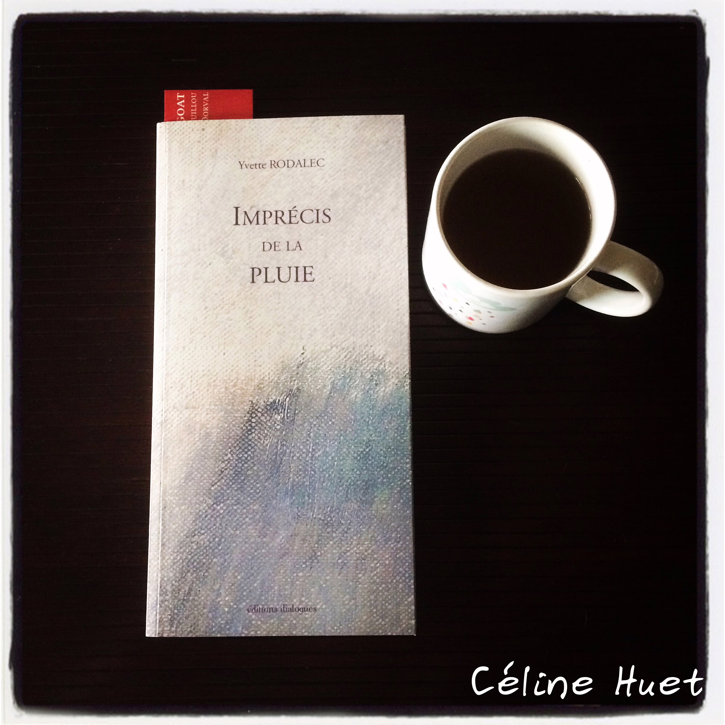 « Imprécis de la pluie » d’Yvette Rodalec…
