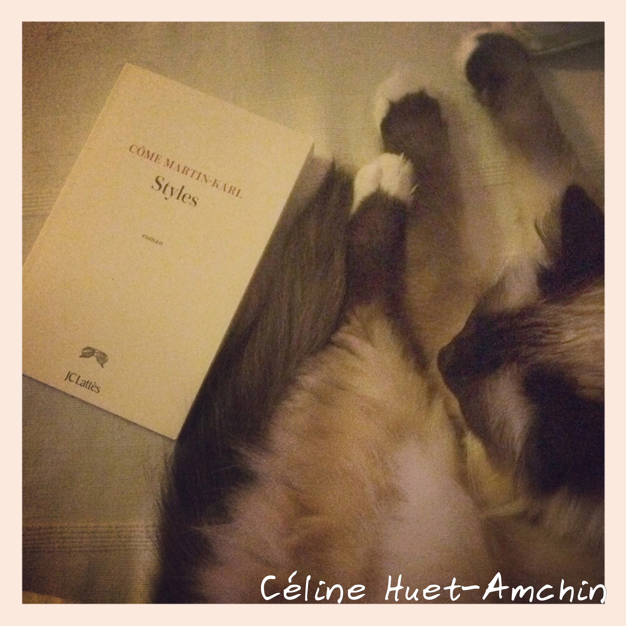 « Styles » de Côme Martin-Karl…