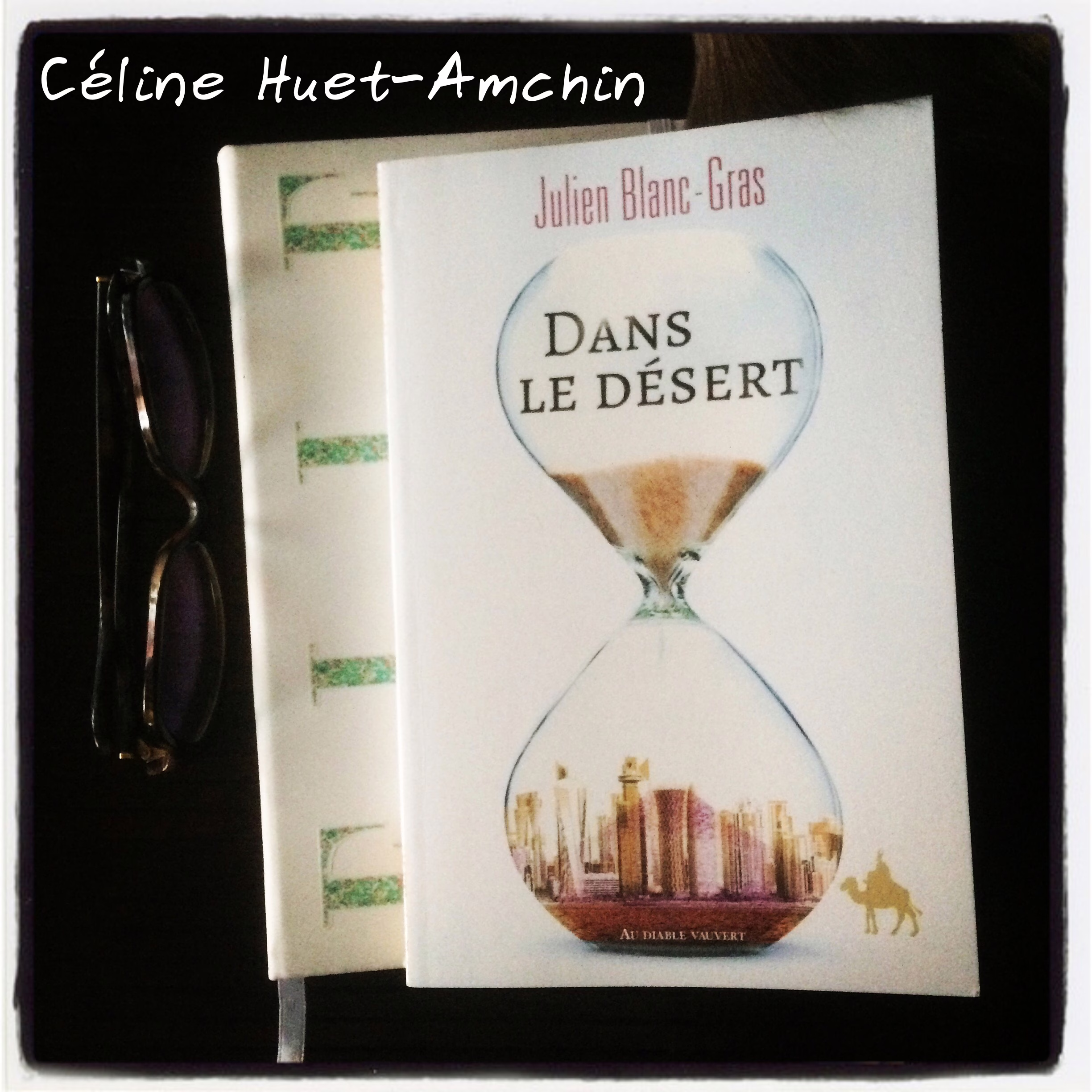 « Dans le désert » de Julien Blanc-Gras…