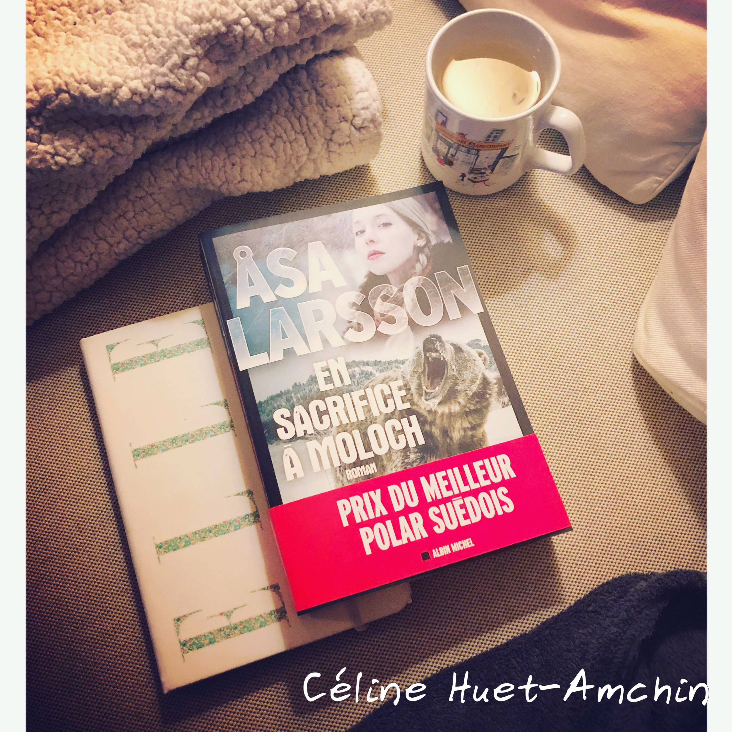 « En sacrifice à Moloch » d’Asa Larsson…