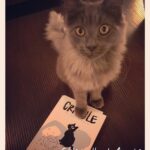 Crapule Jean-Luc Deglin Editions Dupuis