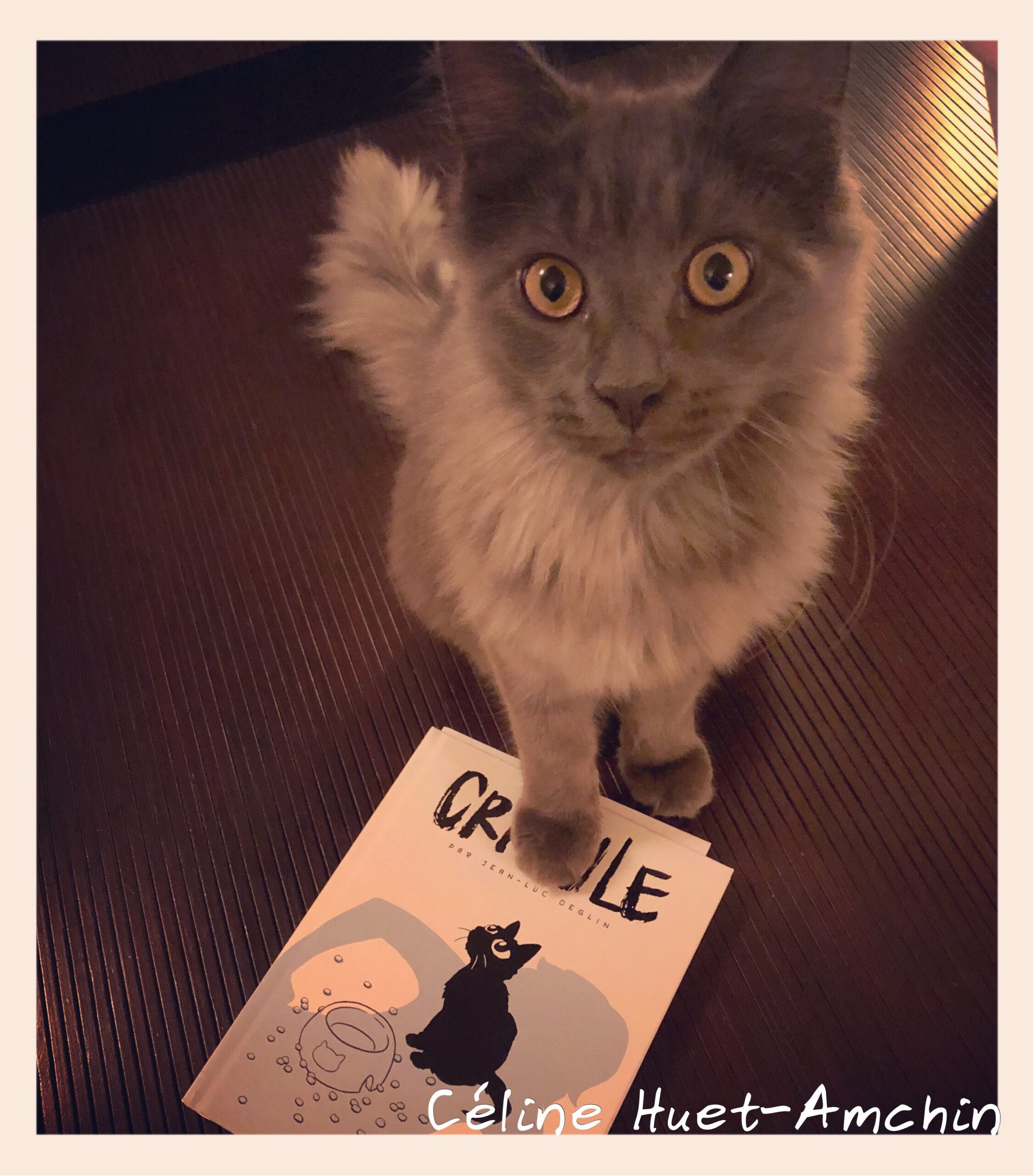 « Crapule » de Jean-Luc Deglin…