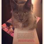 Nabuchodonosor et Conversations avec mon chat Eduardo Jauregui Editions Presses de la Cité