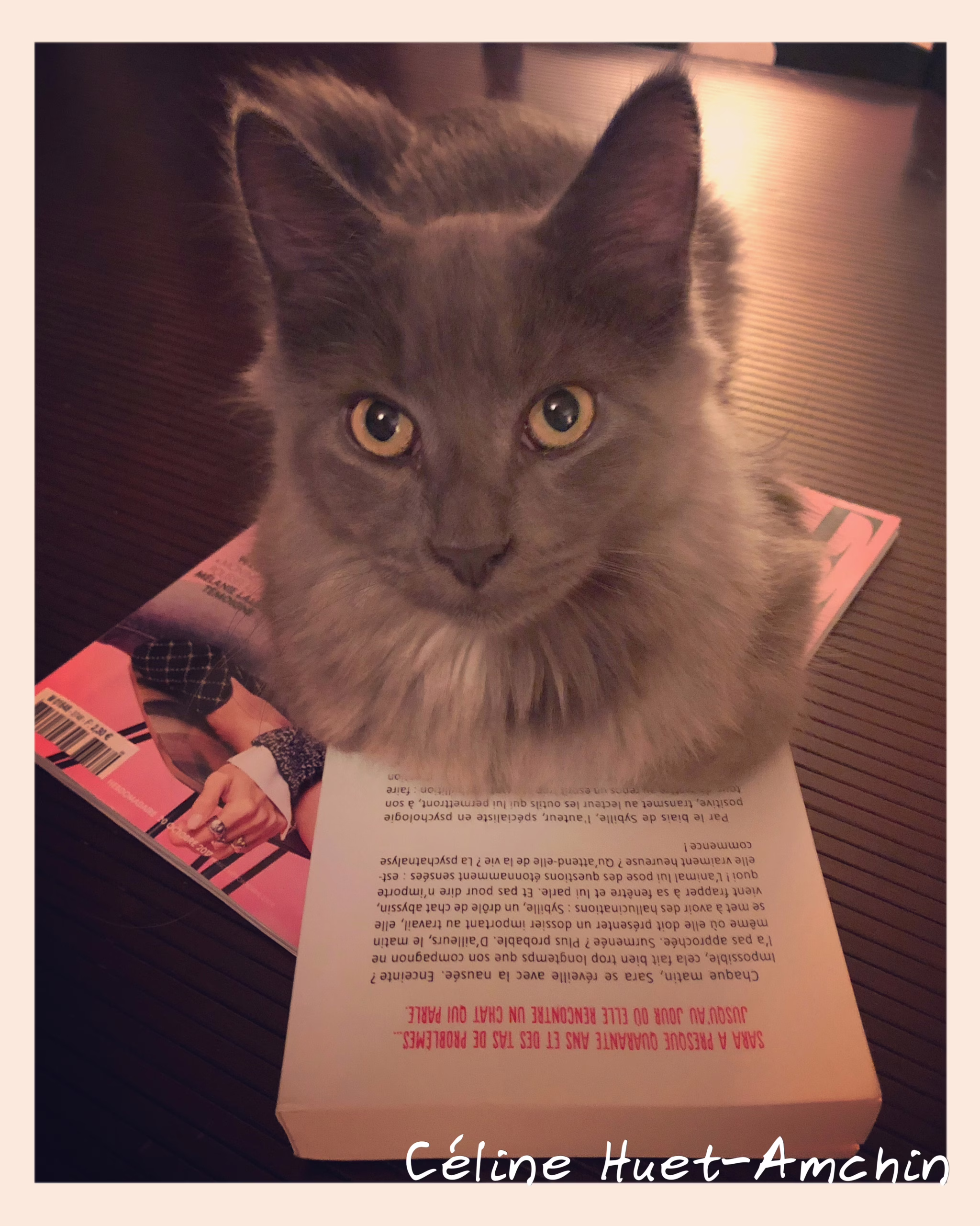 « Conversations avec mon chat » d’Eduardo Jauregui…