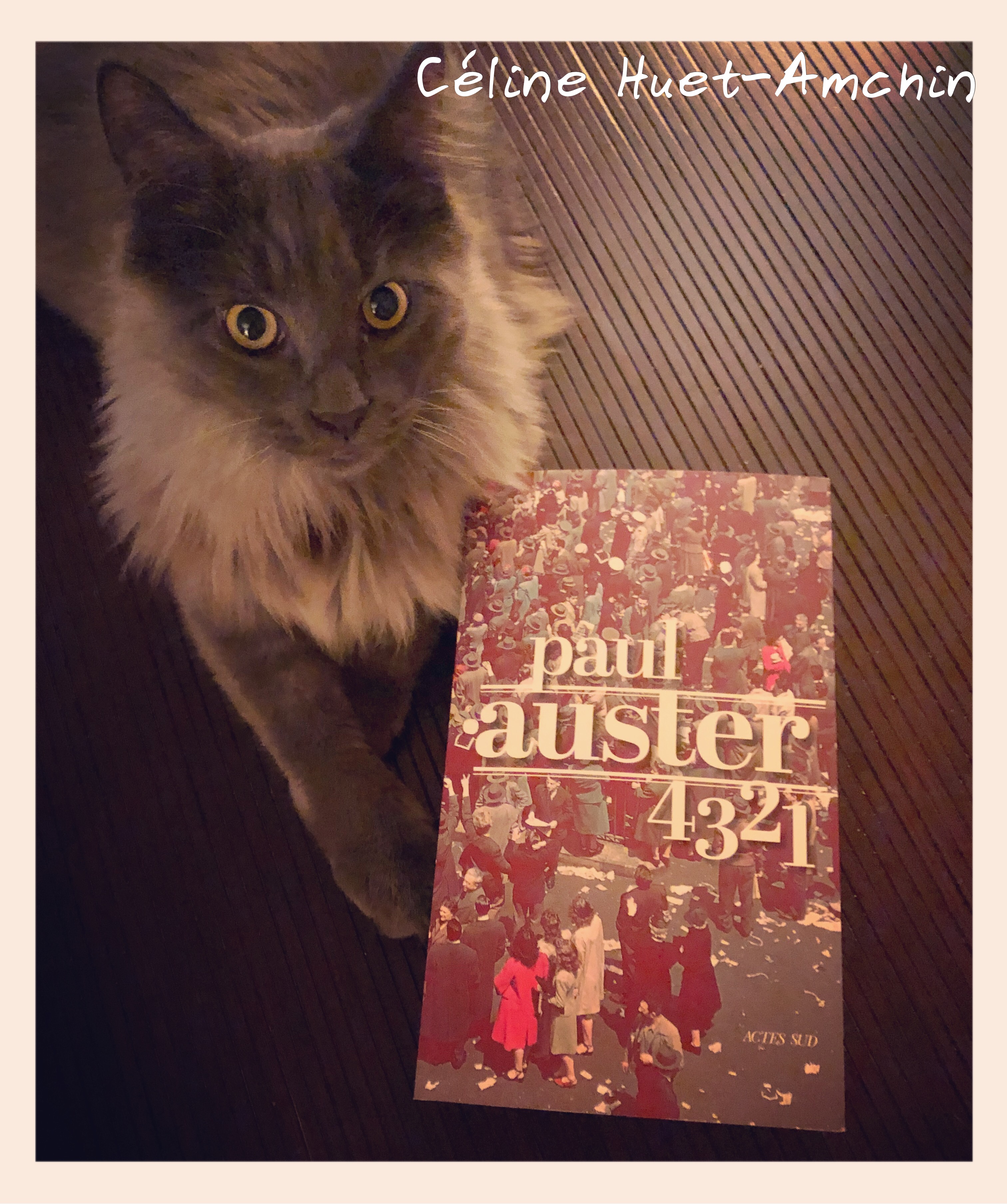 4 3 2 1 Paul Auster Editions Actes Sud