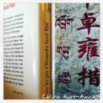 Dans les pas d'Alexandra David-Néel Eric Faye et Christian Garcin Editions Stock