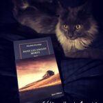 Dans les angles morts Elizabeth Brundage Quai Voltaire Gallimard