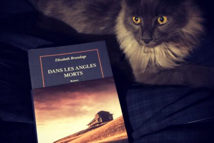 Dans les angles morts Elizabeth Brundage Quai Voltaire Gallimard