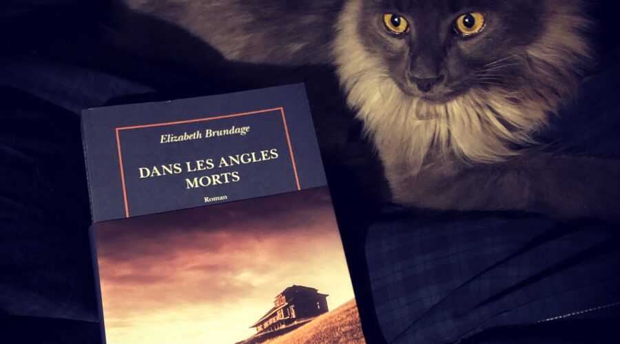 Dans les angles morts Elizabeth Brundage Quai Voltaire Gallimard